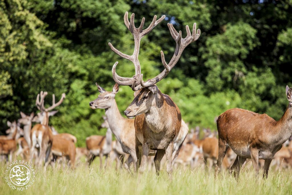 Penzion Dobre Casy Jindřichŭv Hradec Dış mekan fotoğraf